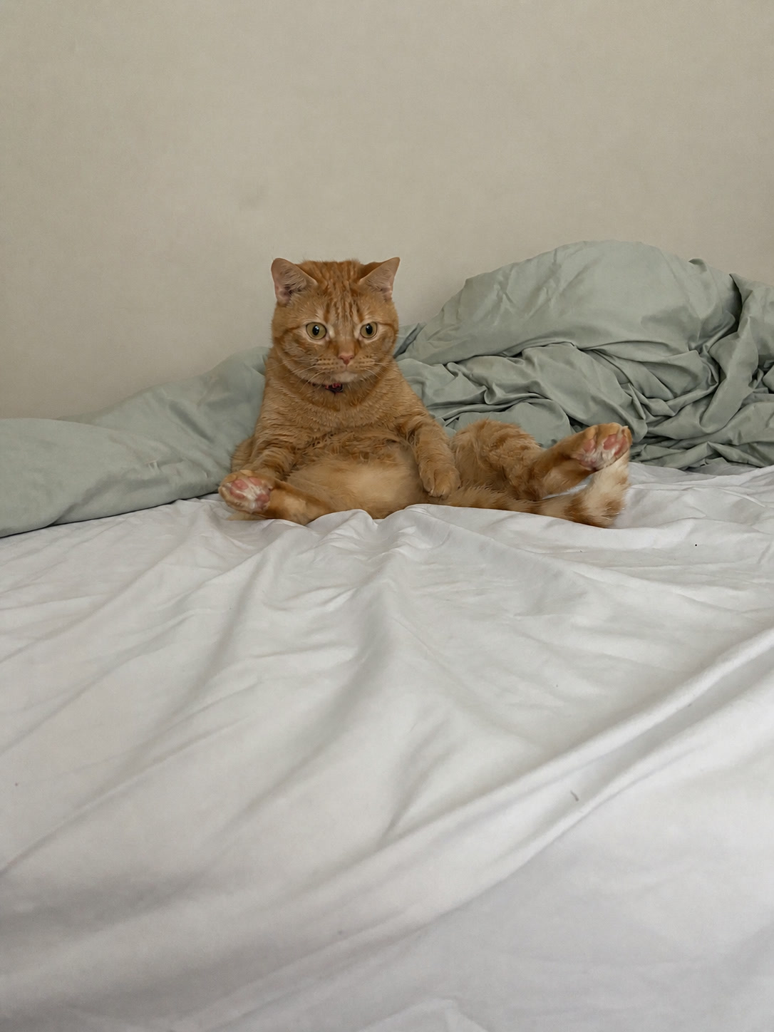 Simpleton sitting on a bed, thinking about nothing